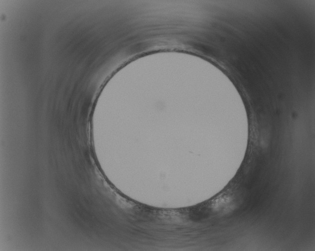 X0000053070807200507181624