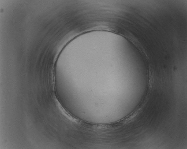 X0000053070808200507181624