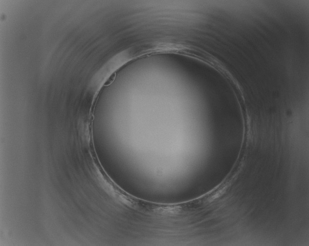 X0000053070810200507181624