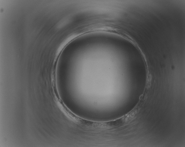 X0000053070811200507181624