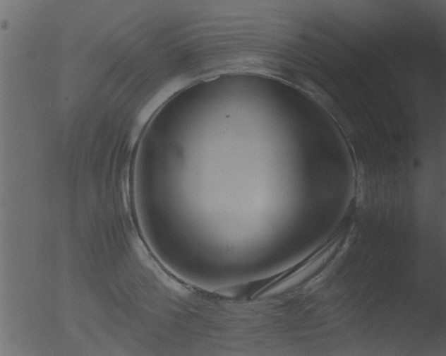 X0000053070812200507181624