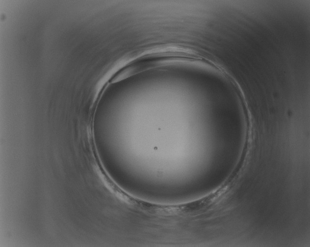 X0000053070813200507181624