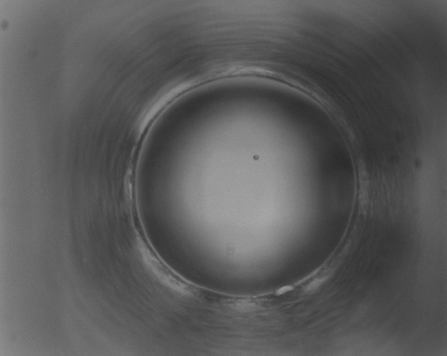 X0000053070814200507181624