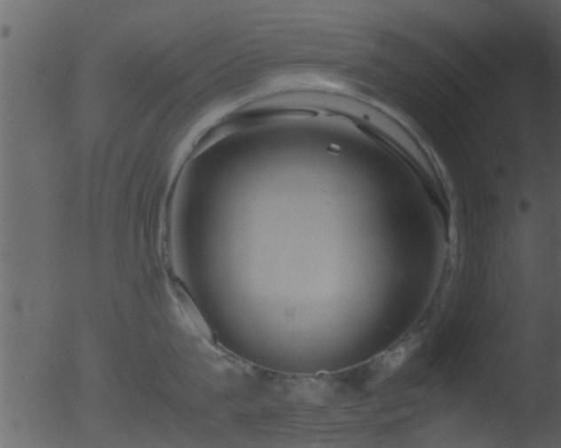 X0000053070815200507181624