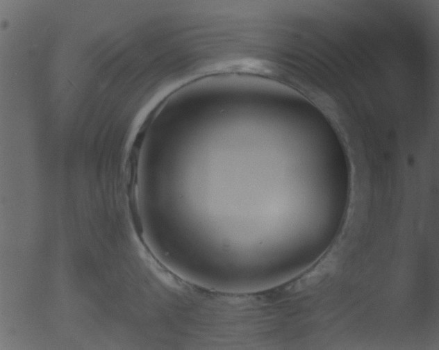 X0000053070816200507181624