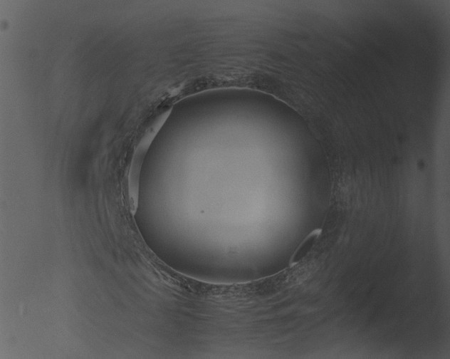 X0000053070817200507181624