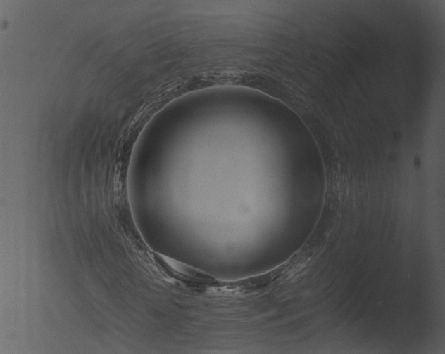 X0000053070818200507181624