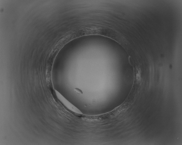 X0000053070819200507181624