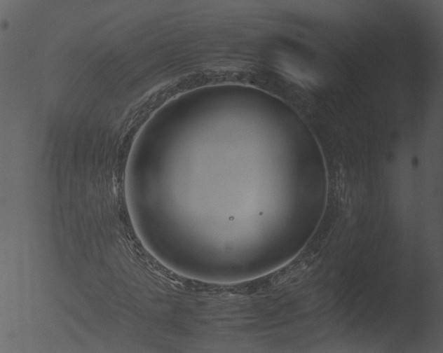 X0000053070821200507181624