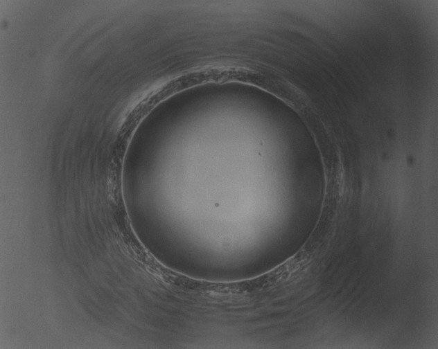 X0000053070823200507181624