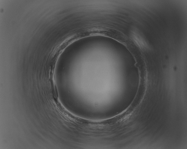 X0000053070825200507181624