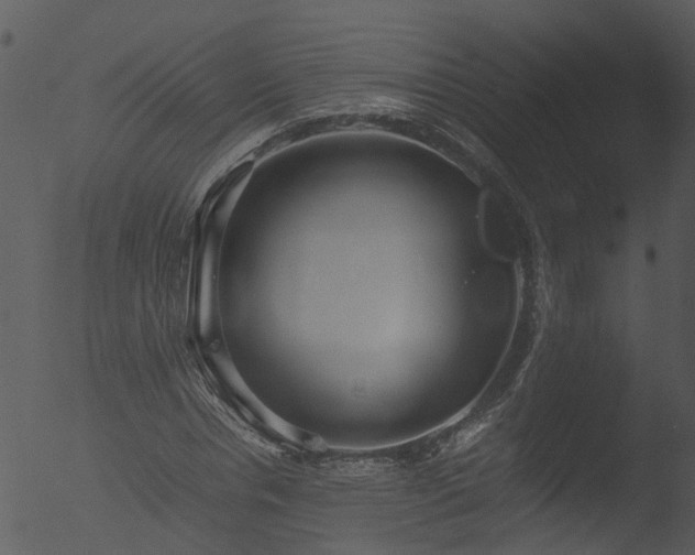 X0000053070826200507181624