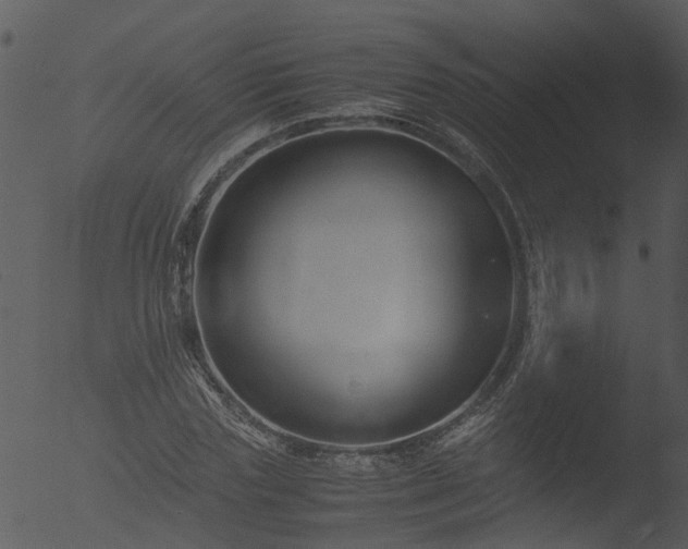 X0000053070827200507181624