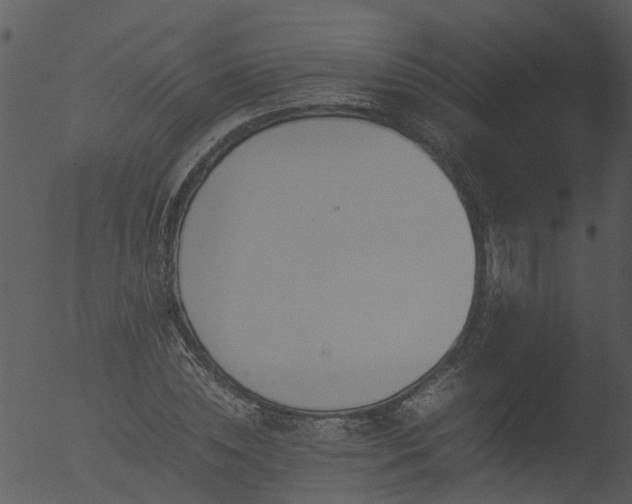 X0000053070828200507181624