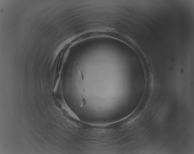 X0000053070829200507181624