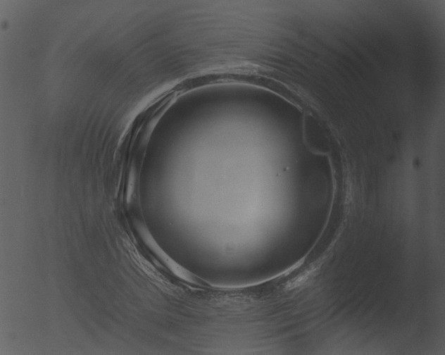 X0000053070830200507181624