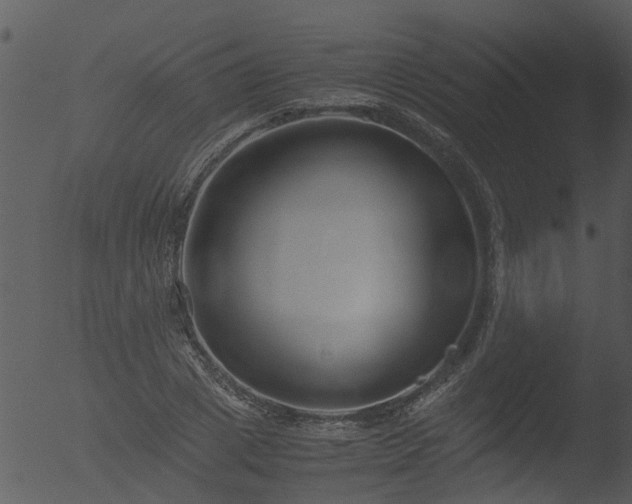 X0000053070833200507181624