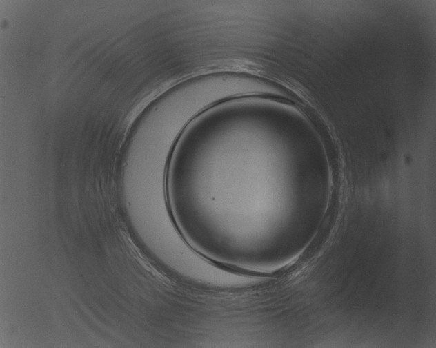 X0000053070834200507181624