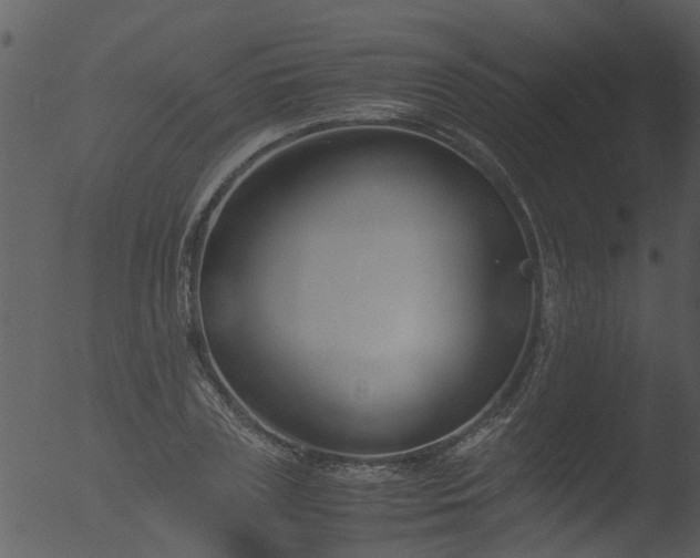 X0000053070835200507181624