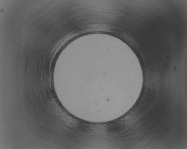 X0000053070836200507181624