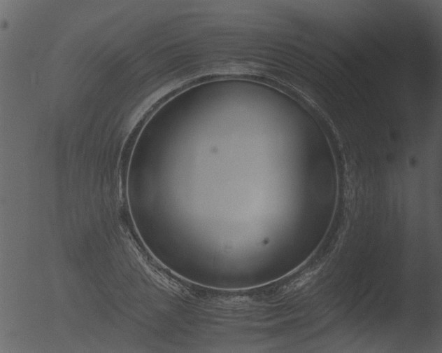 X0000053070837200507181624