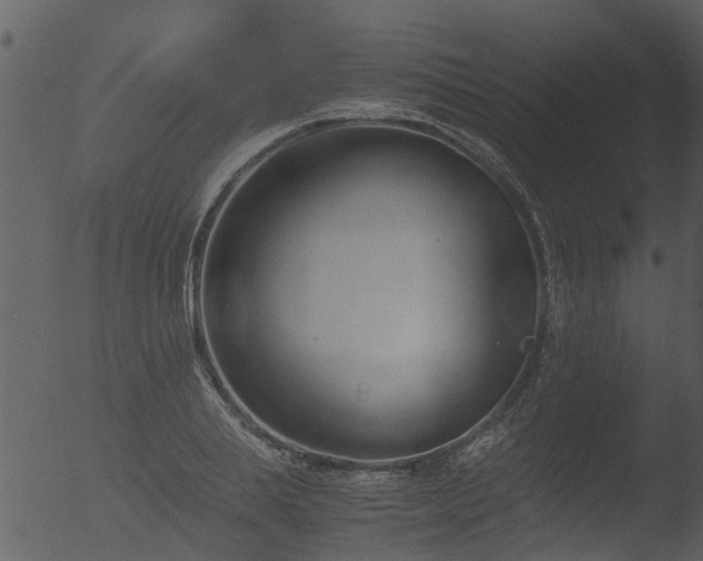 X0000053070839200507181624