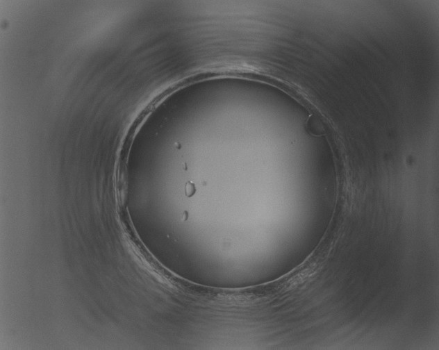 X0000053070840200507181624