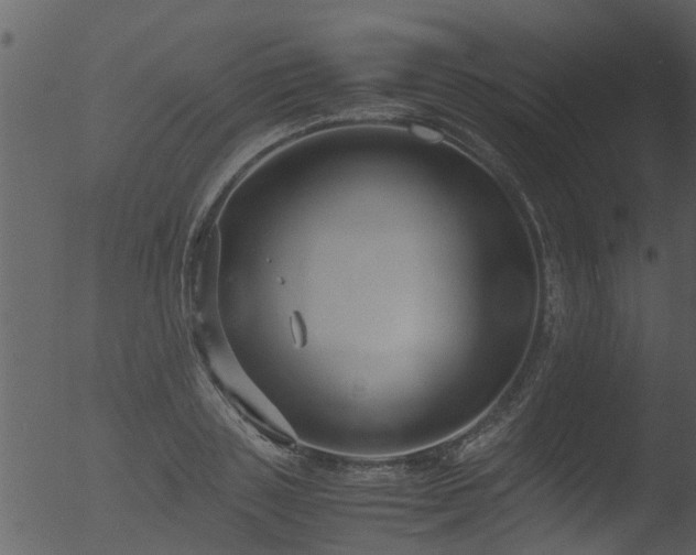 X0000053070843200507181624