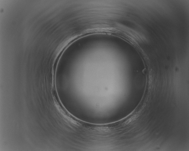 X0000053070844200507181624