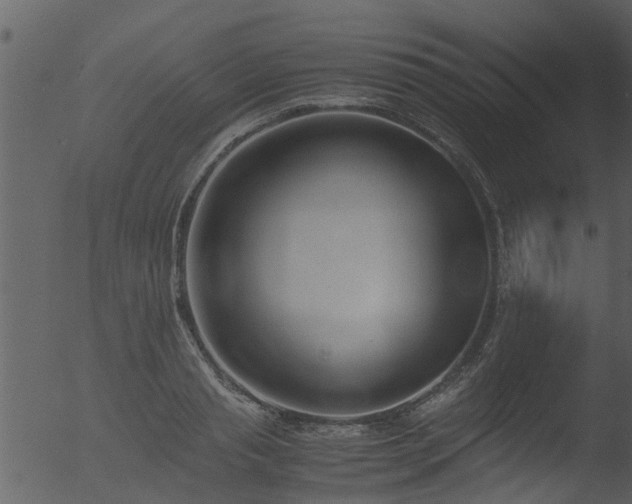 X0000053070845200507181624