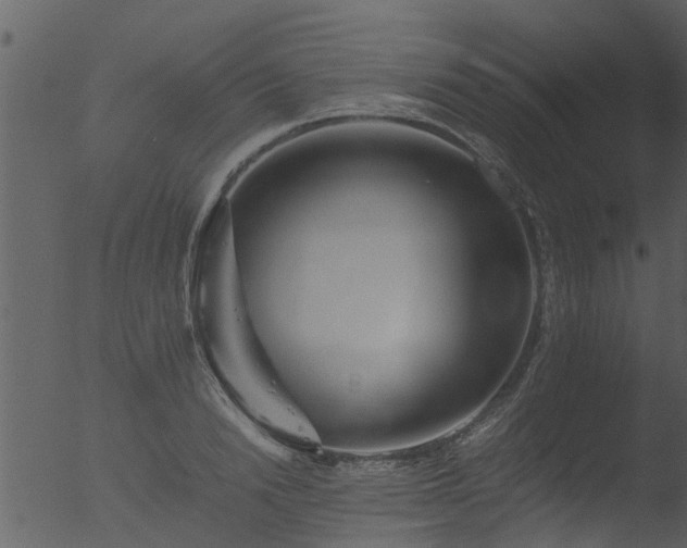 X0000053070846200507181624