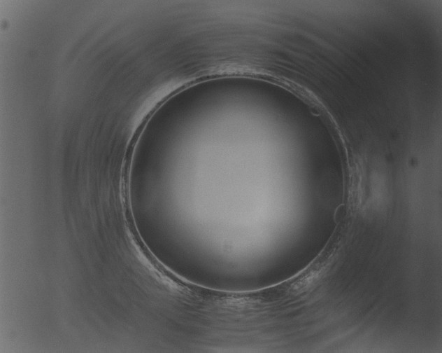 X0000053070847200507181624