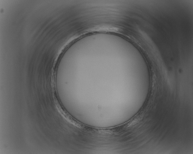 X0000053070848200507181624