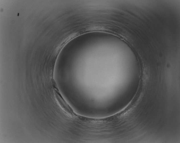 X0000053070849200507181624