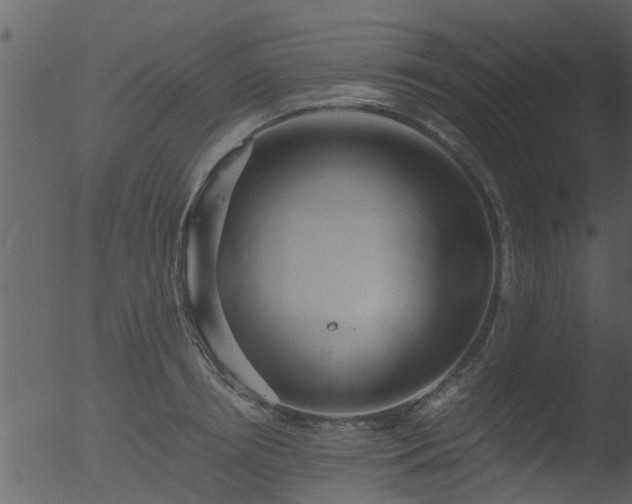 X0000053070850200507181624