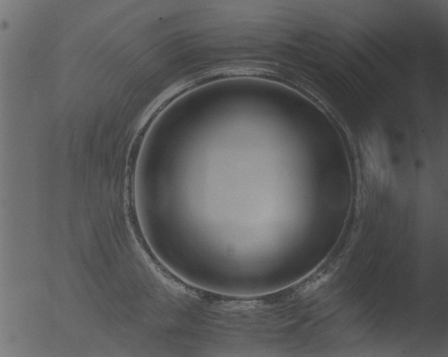 X0000053070853200507181624