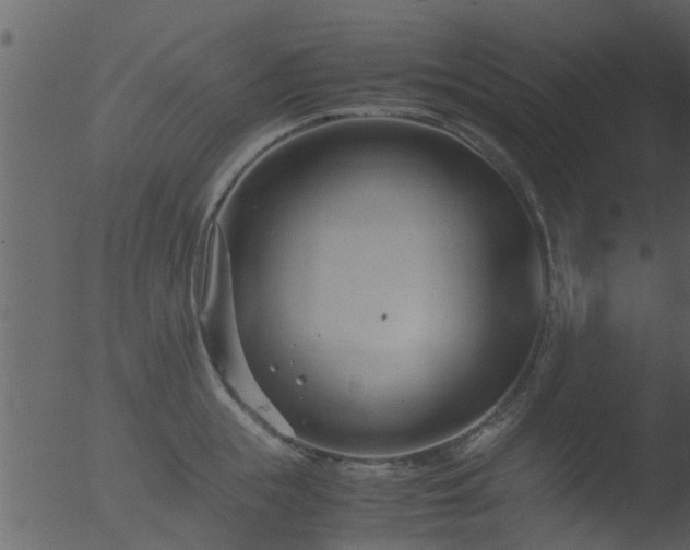 X0000053070855200507181624