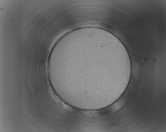 X0000053070856200507181624