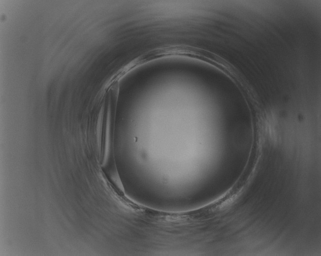 X0000053070857200507181624