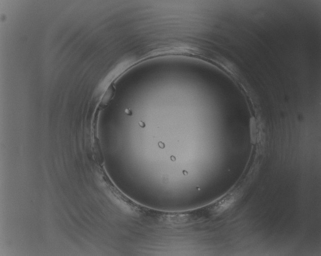 X0000053070858200507181624