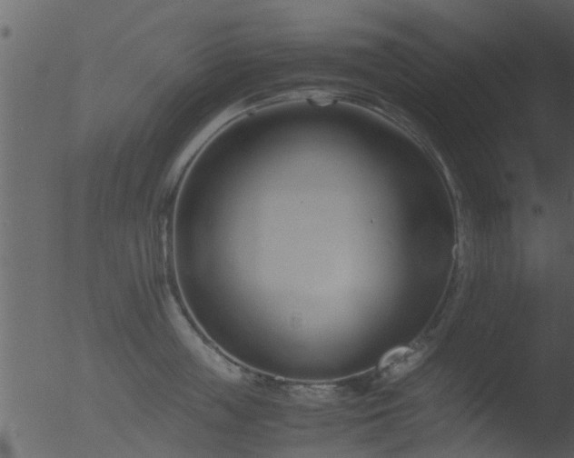 X0000053070859200507181624