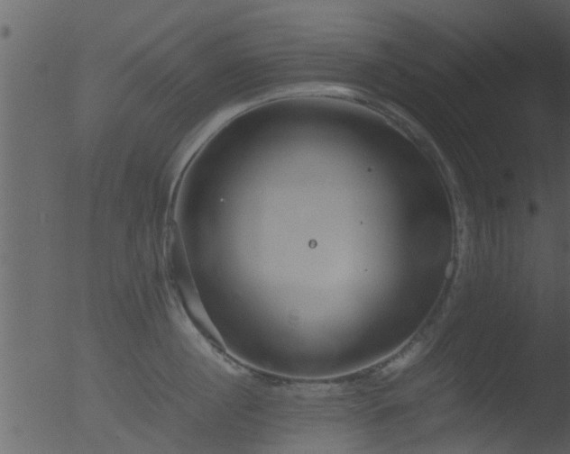 X0000053070860200507181624