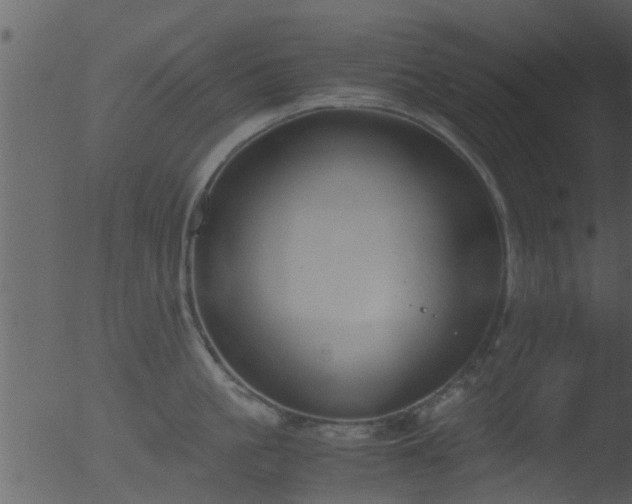 X0000053070861200507181624