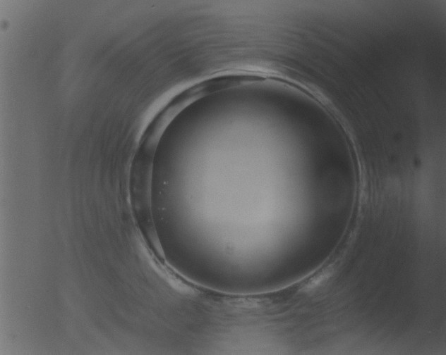 X0000053070862200507181624