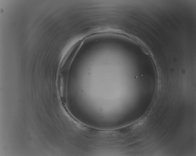 X0000053070863200507181624