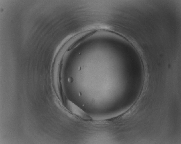 X0000053070864200507181624