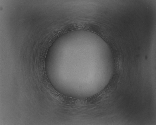 X0000053070865200507181623