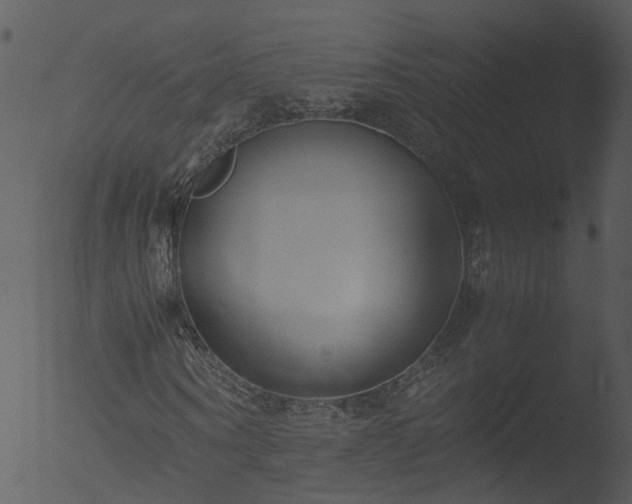 X0000053070866200507181623