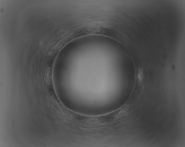 X0000053070867200507181623