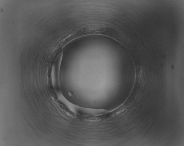 X0000053070868200507181623